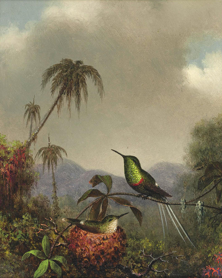 Two Thorn-Tails. Langsdorffs Thorn-Tail. Brazil Painting by Martin Johnson Heade
