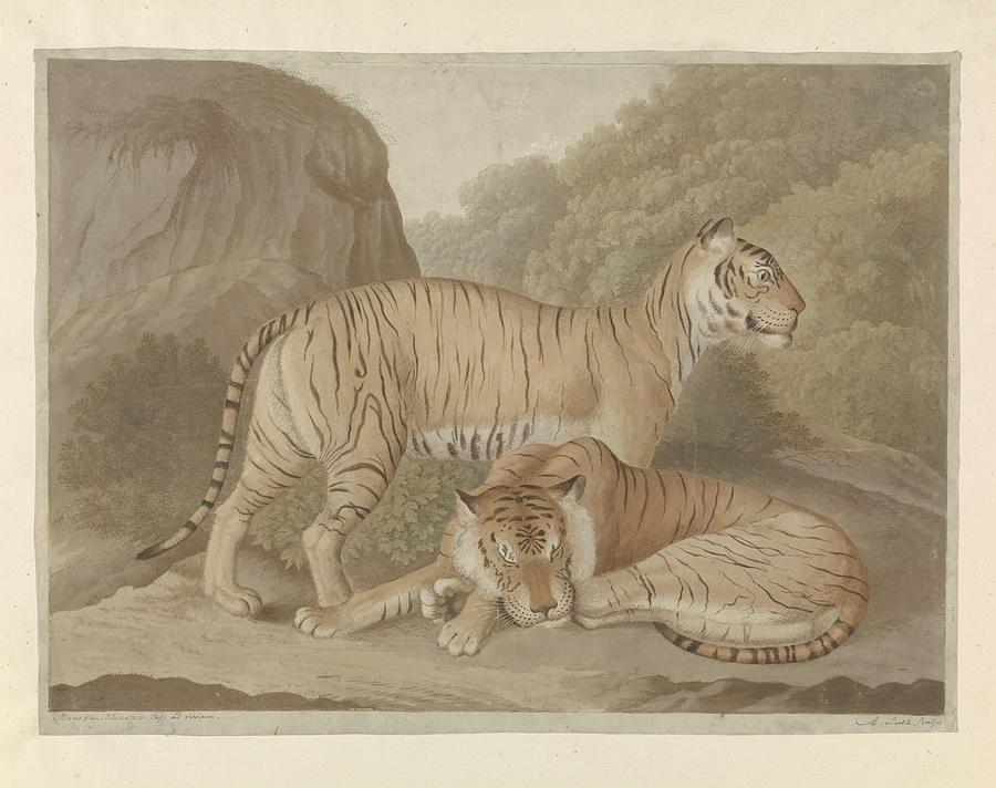 Two Tigers In A Landscape, A. Lutz, After Isaac Van Haastert, 1809 - 1822 Painting