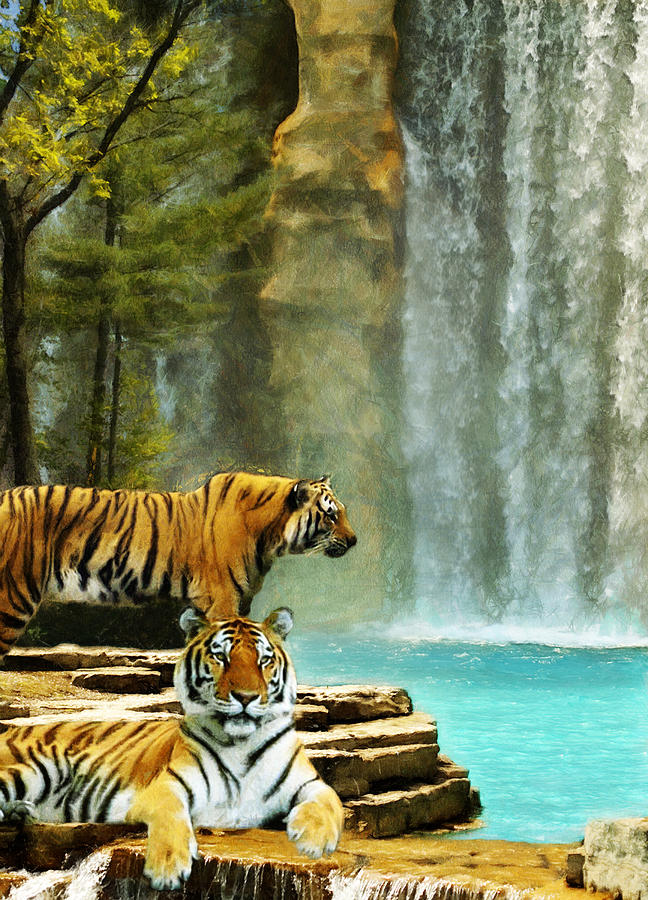 Two Tigers Digital Art by JGracey Stinson