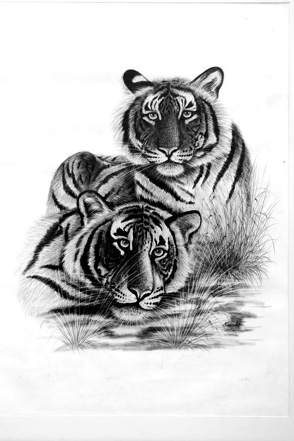 Two Tigers Painting By Navratan 