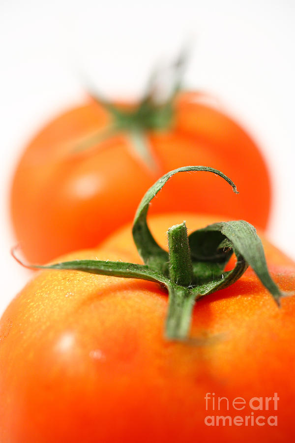 Tomato Photograph - Two tomatoes by Gaspar Avila