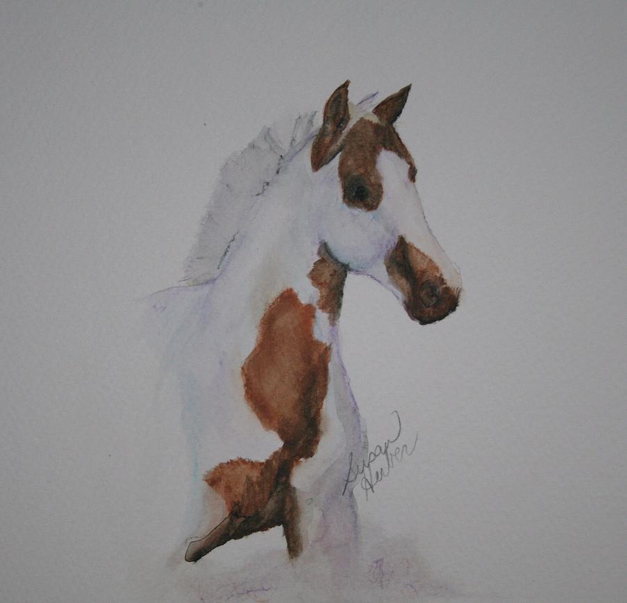 Two Tone Foal Painting by Susan Herber