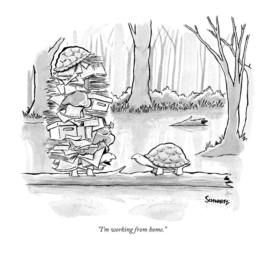 Two Tortoises Speak. One Has A Large Number Drawing by Benjamin Schwartz