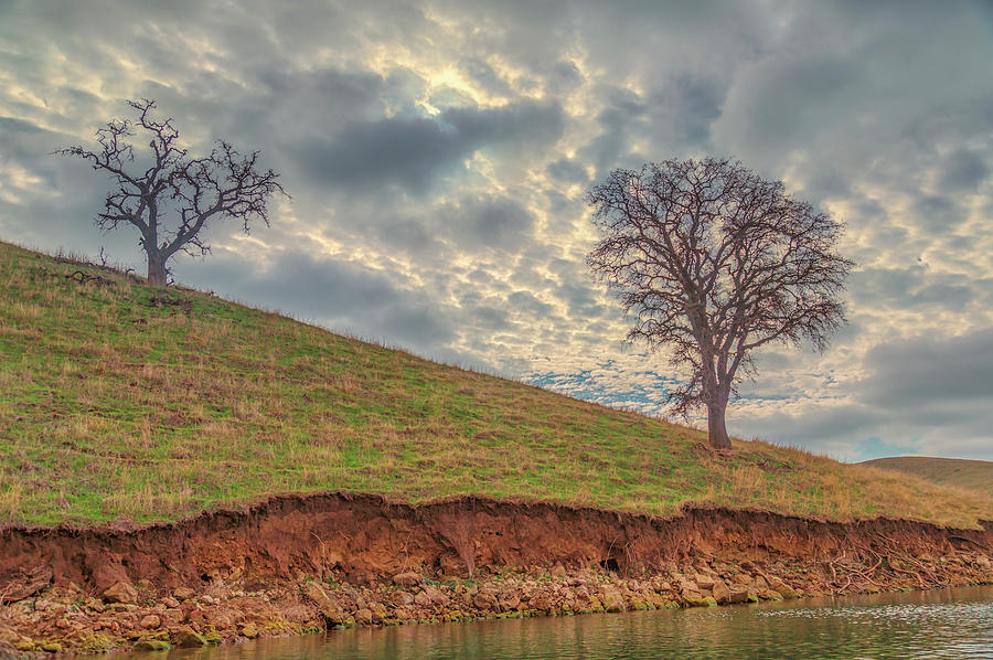 Two Trees and Clouds at Los Vaqueros Photograph by Marc Crumpler