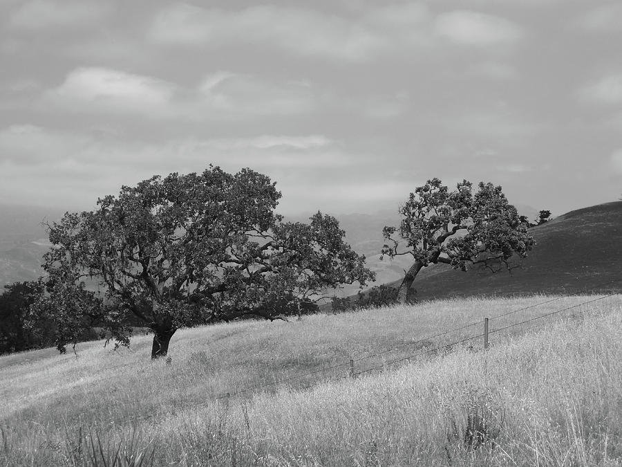 California Hillside, Monochrome Photograph by Gordon Beck