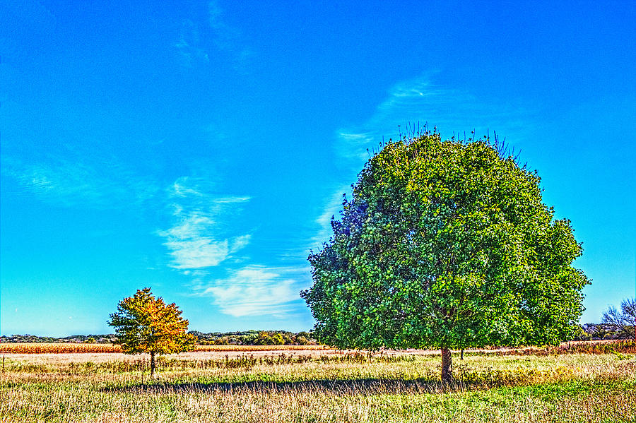 Two Trees on the Illinois Prairie Photograph by Roger Passman