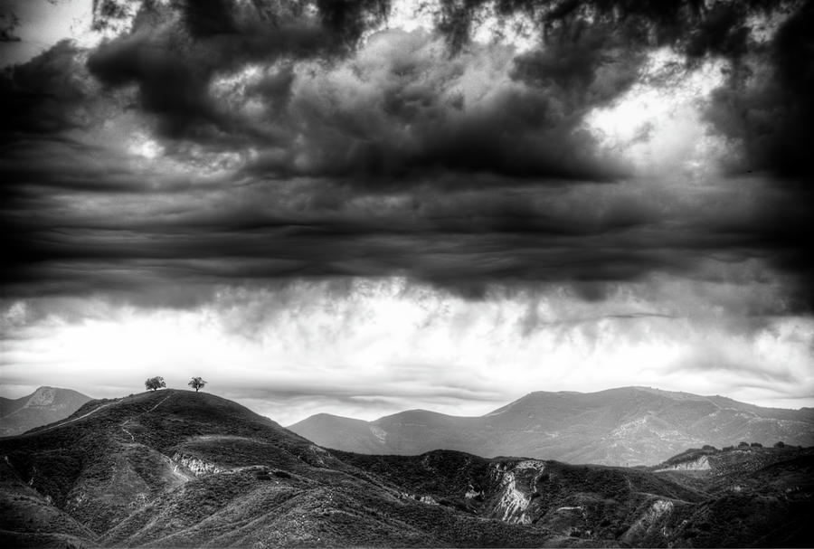 Two Trees Ventura Photograph by Wendell Ward