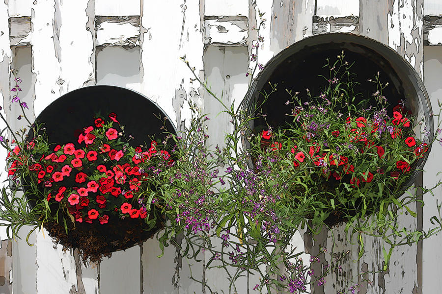Two Tub Planters Displayed On Fence - Digital Artwork Photograph by Sandra Foster