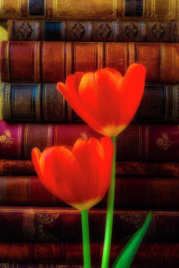 Two Tulips And Stack Of Old Books Photograph by Garry Gay