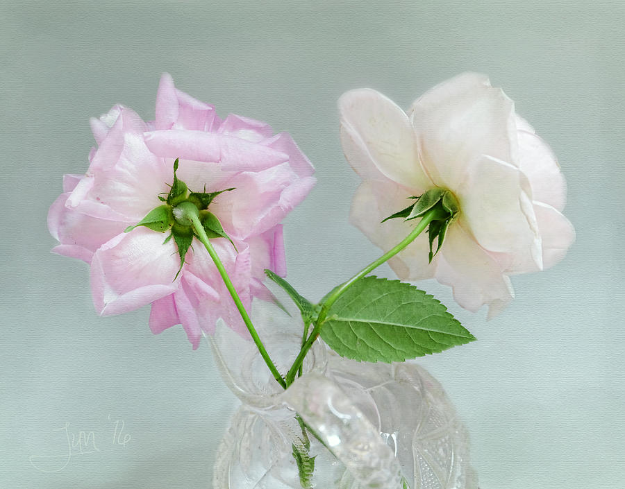 Two Vintage Roses Photograph by Louise Kumpf