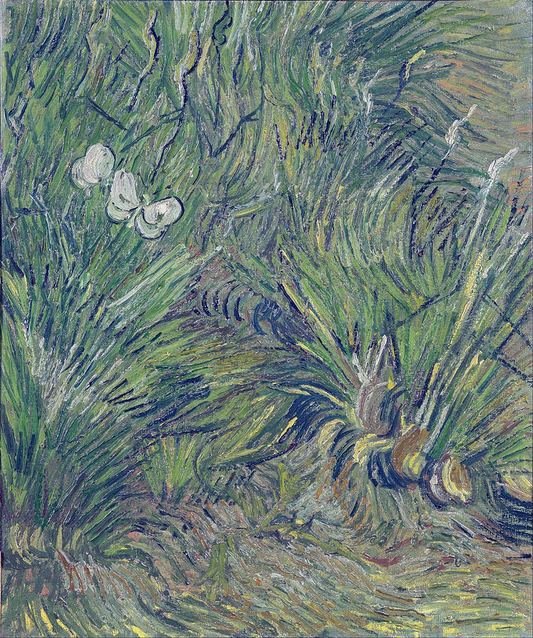 Summer Painting - Two White Butterflies, 1889 by Vincent Van Gogh