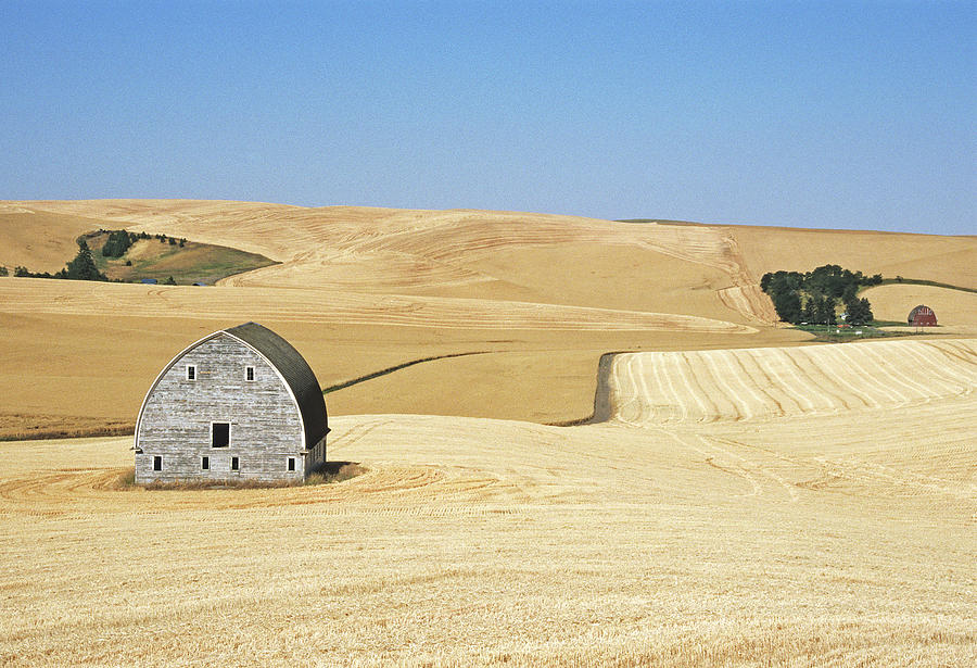 Two Whitman Barns Photograph by Doug Davidson