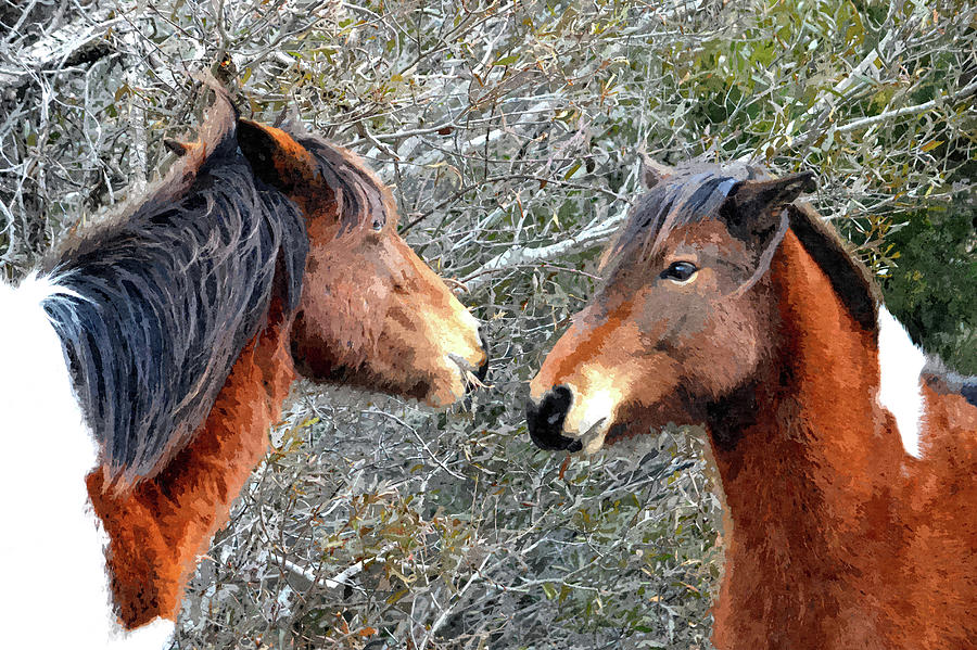 Two Wild Ponies of Assateague Island in Painterly Style Photograph by Bill Swartwout