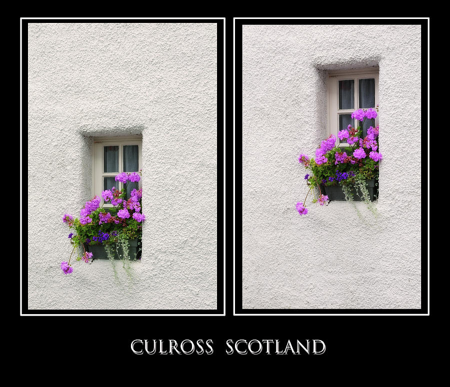 Two Windows with Geranium. Culross. Scotland Photograph by Jenny Rainbow