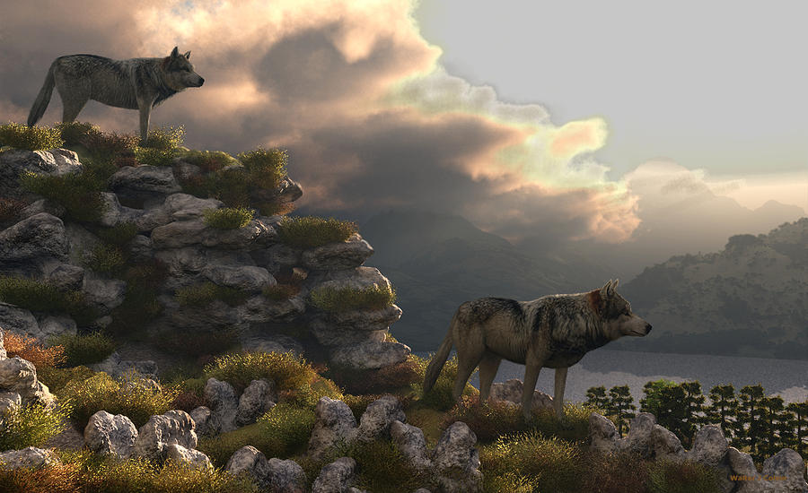 Two Wolfs on a Lookout  Digital Art by Walter Colvin
