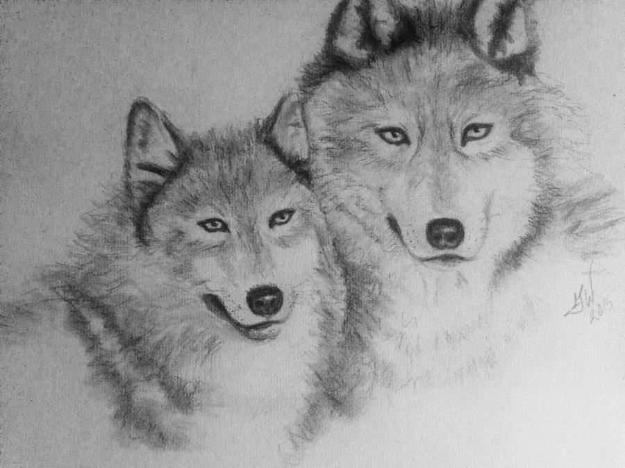 Two Wolves Drawing by Gina Wolfe-Wert