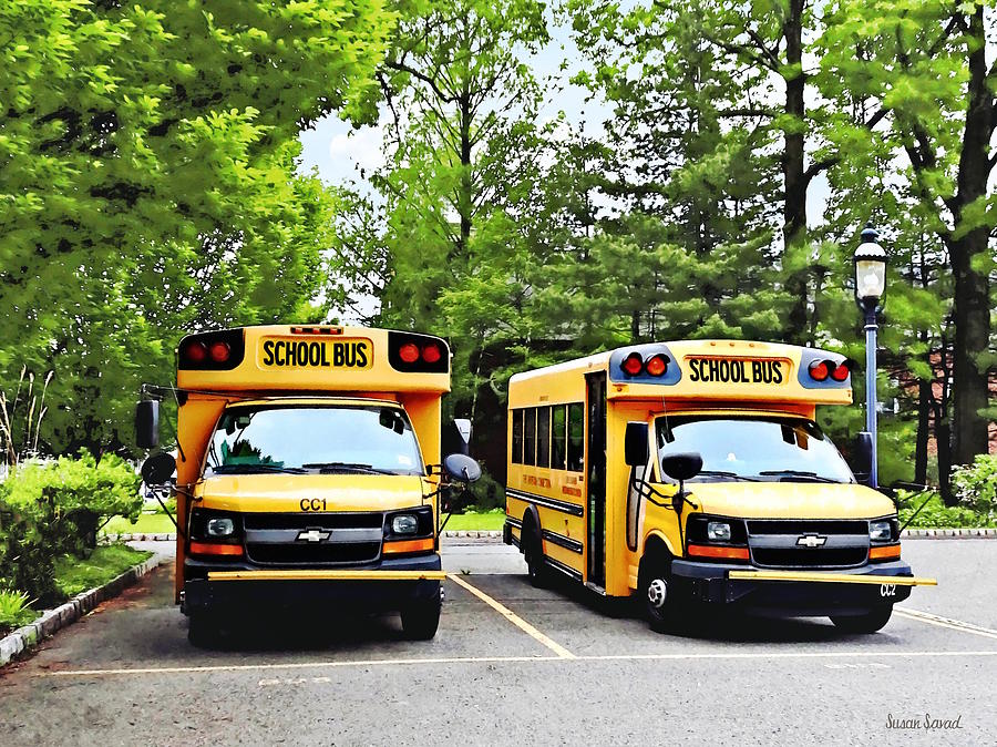 Two Yellow School Buses Photograph by Susan Savad