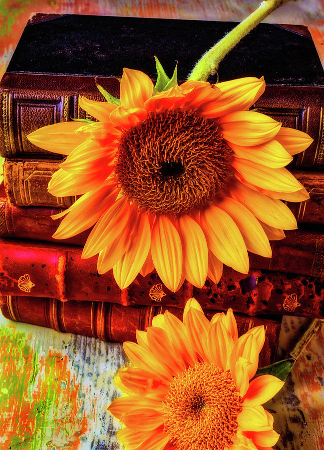 Two Yellow Sunflowers With Books Photograph by Garry Gay