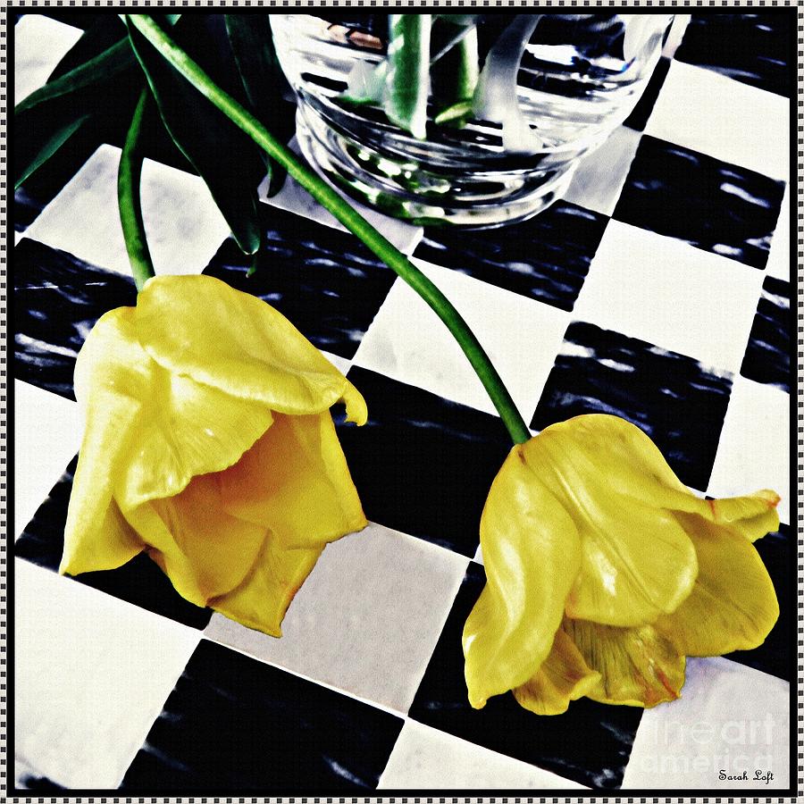 Tulip Photograph - Two Yellow Tulips on the Checker Board by Sarah Loft