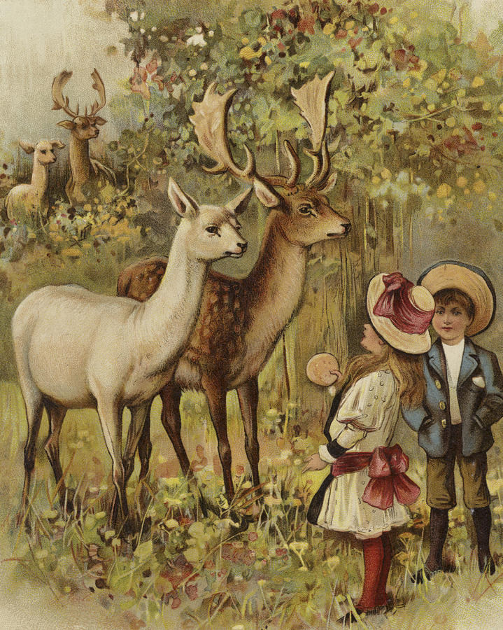 Two young children feeding the deer in a park Painting by English School