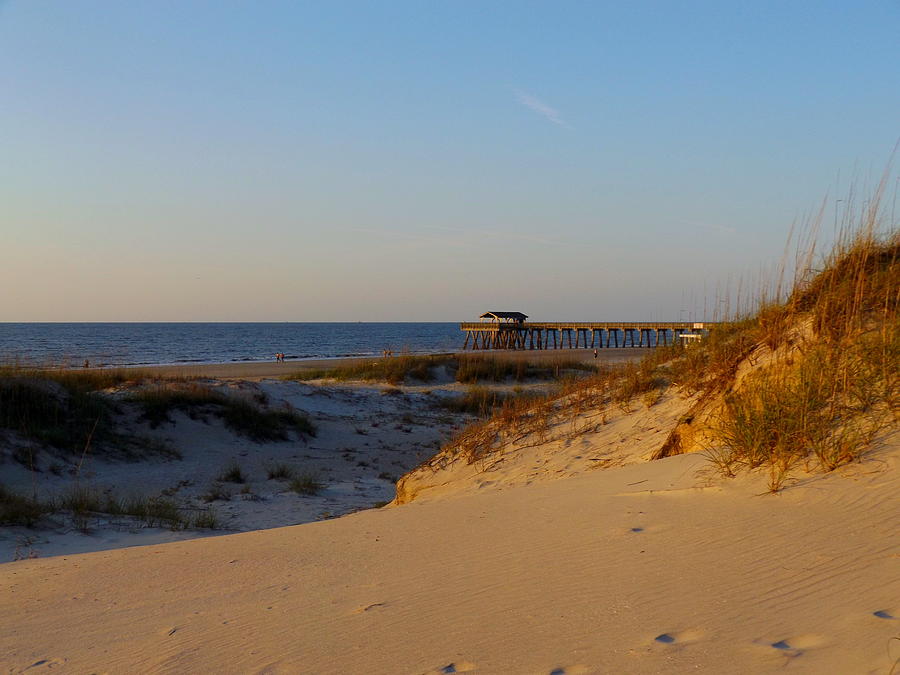 Tybee Dunes Photograph by Julie Pappas
