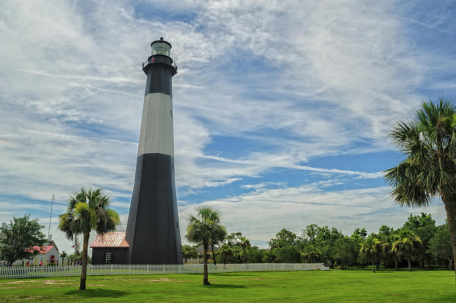 Tree Photograph - Tybee Island Lighthouse by Barry Fowler
