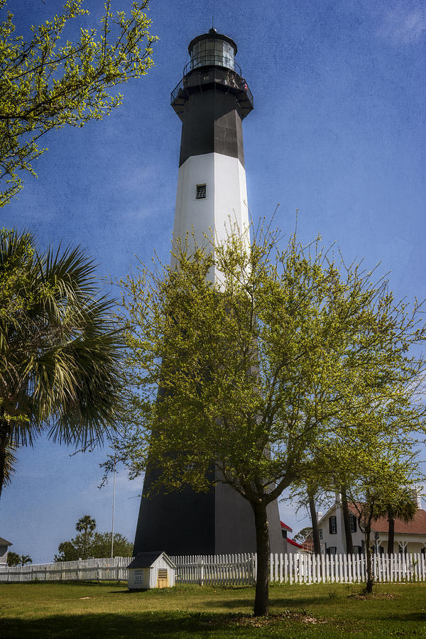 Tybee Island Lighthouse Photograph by Joan Carroll