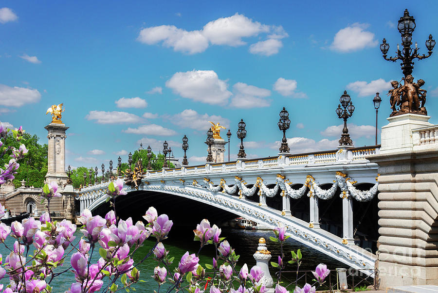 Bridge of Alexandre III at Spring Photograph by Anastasy Yarmolovich