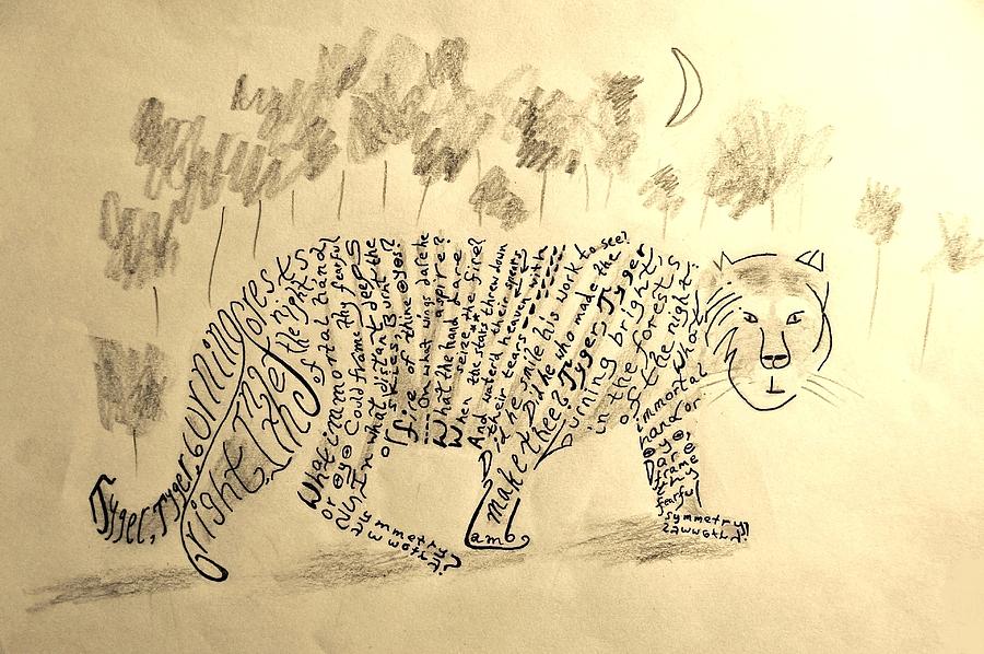 Tiger, Tiger Drawing by Nigel Radcliffe
