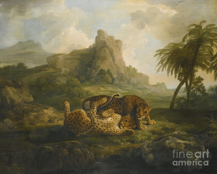 George Stubbs Painting - Tygers At Play by MotionAge Designs