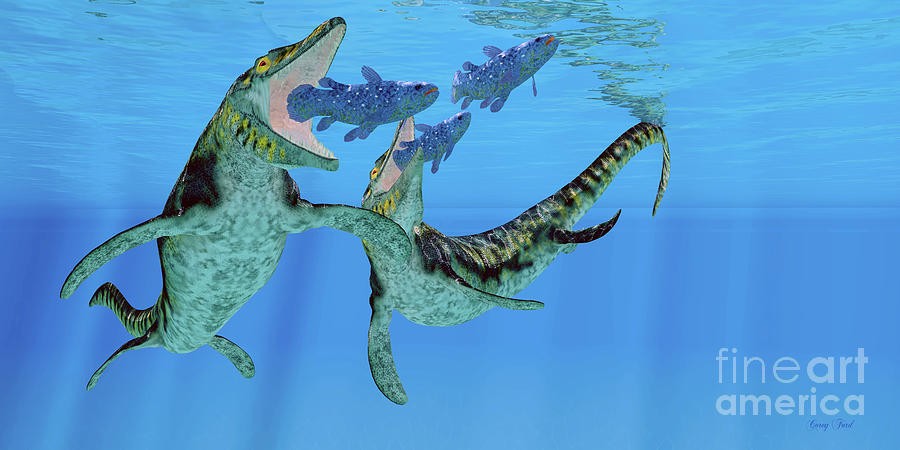 Tylosaurus Marine Reptiles Digital Art by Corey Ford