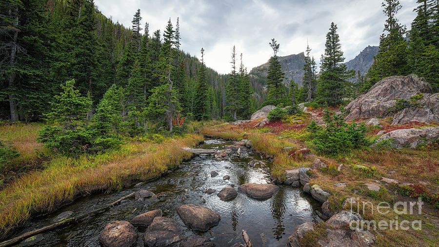Tyndall Creek in the Rocky Mountains  Photograph by Michael Ver Sprill