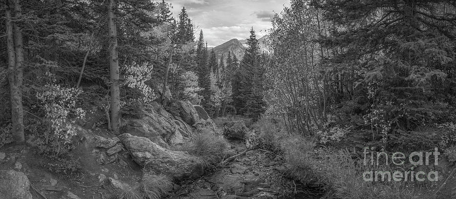 Colorado Rockies Photograph - Tyndall Creek Panorama BW by Michael Ver Sprill