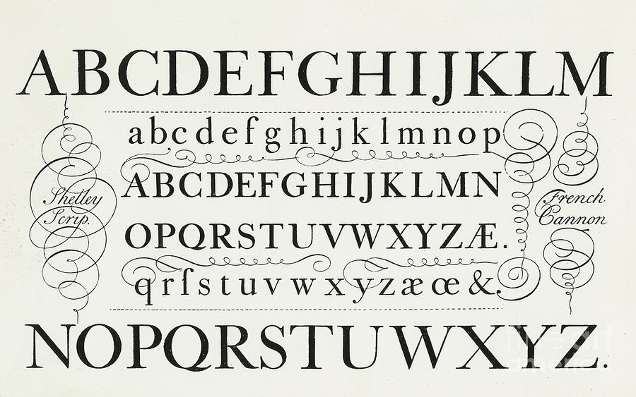 Typefaces from the script of George Shelley Drawing by George Shelley