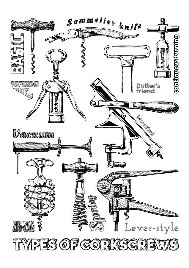 https://images.fineartamerica.com/images/artworkimages/mediumlarge/1/types-of-corkscrews-alexander-babich.jpg