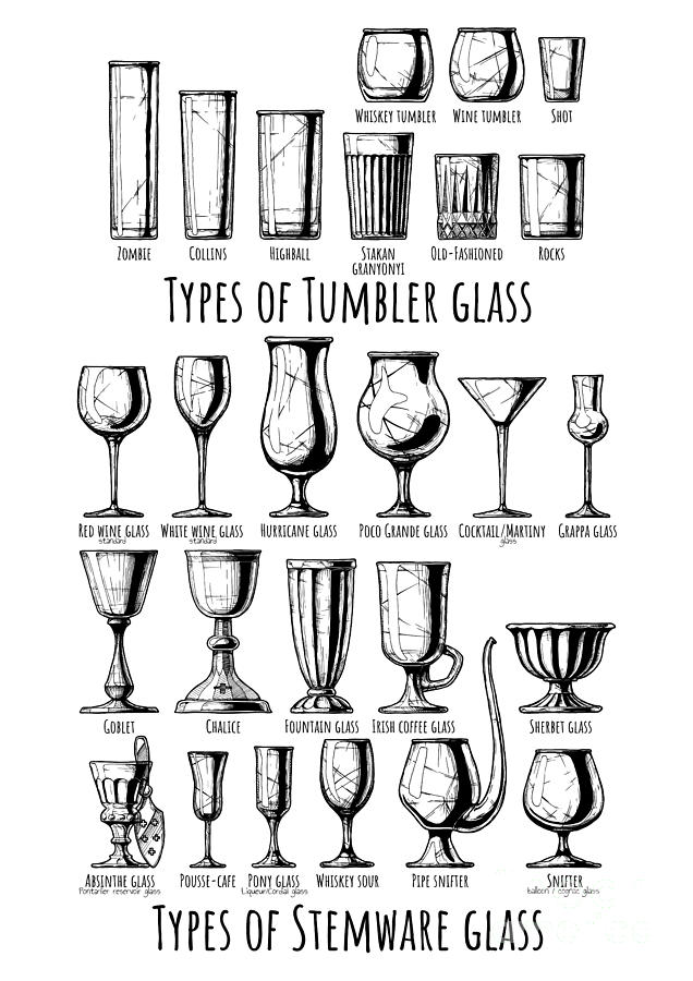 Types of tumbler and stemware glass. Drawing by Alexander Babich