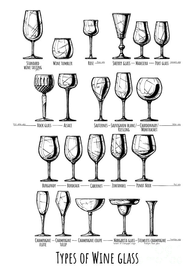 Types Of Tumbler And Stemware Glass #1 by Alexander Babich