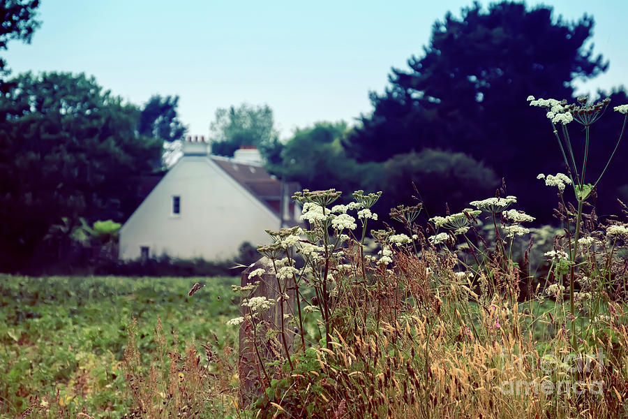 typical English country side Photograph by Ariadna De Raadt