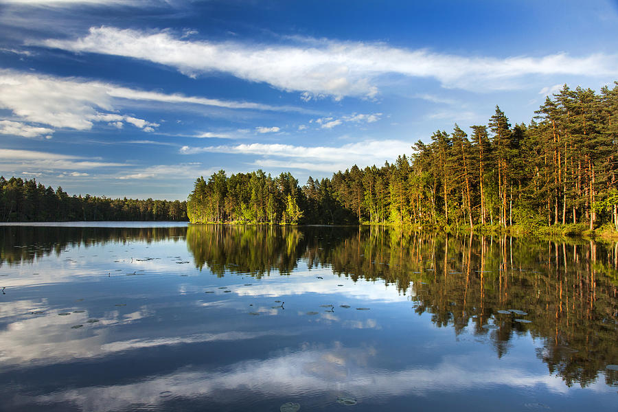 Nature Photograph - Typical lake with reflection in Finland by Sandra Rugina