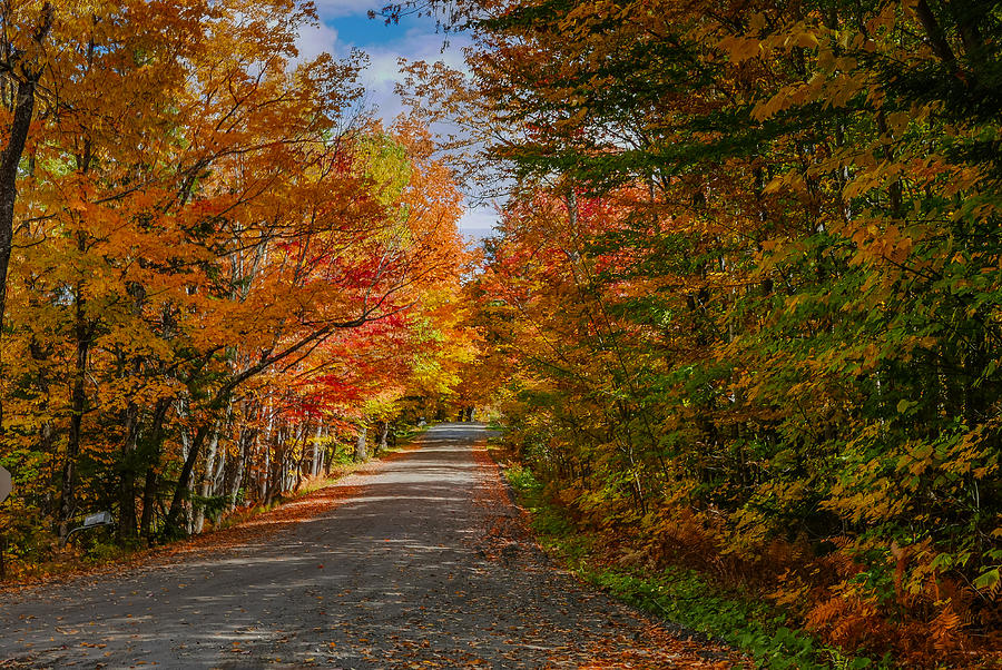 Old Country Road in Vermont During Colorful Fall Foliage Photograph by Robert Bellomy