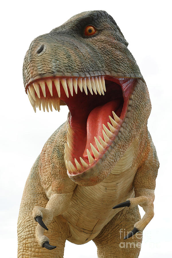 Dinosaur Photograph - Tyrannosaurus Rex dinosaur by Gaspar Avila