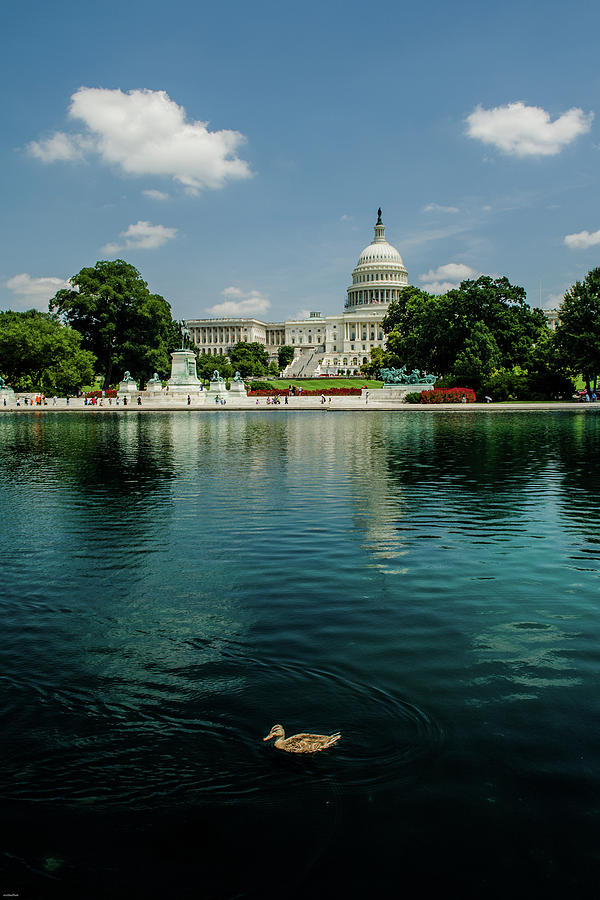 Duck Photograph - U S Capitol with a Duck by Allen Sheffield