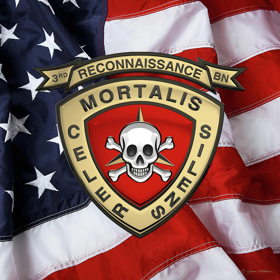 U S M C  3rd Reconnaissance Battalion -  3rd Recon Bn Insignia over American Flag Digital Art by Serge Averbukh
