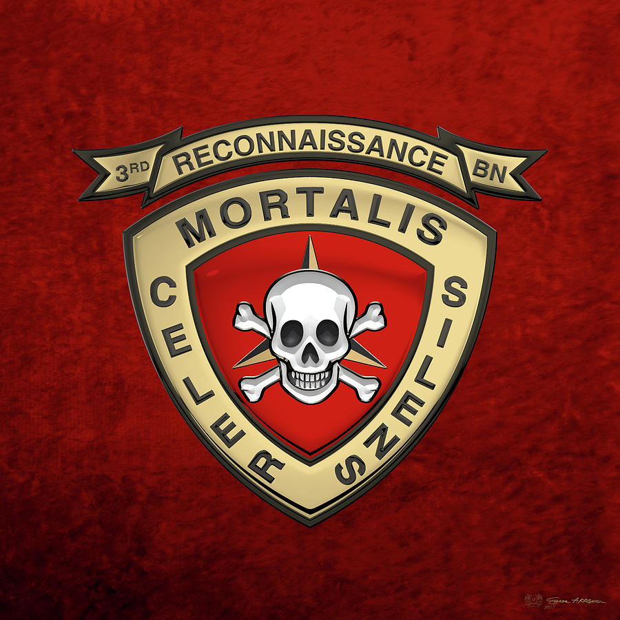 1st Battalion, 9th Marines Organization Logo Insurance, ex battalion, emblem,  label png | PNGEgg