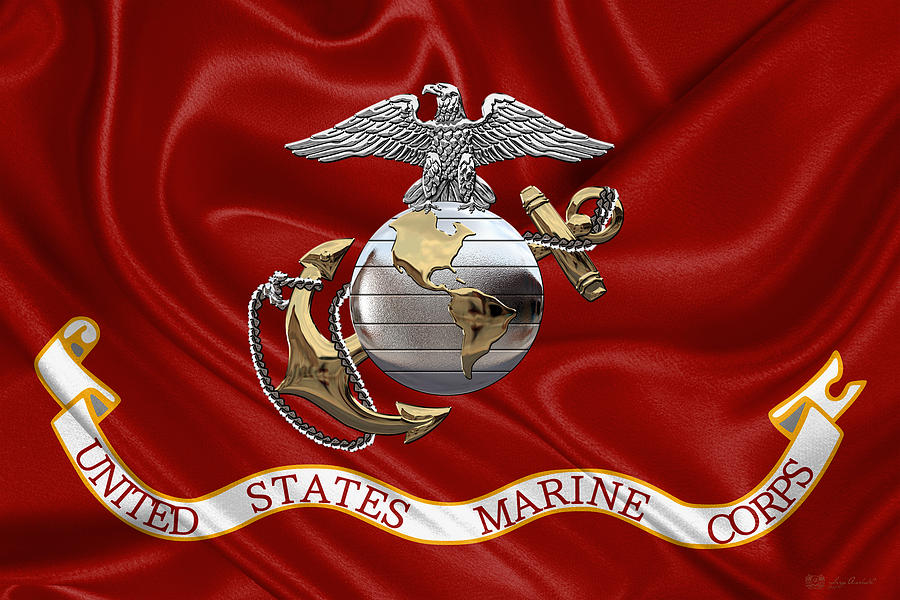 U. S.  Marine Corps - C O and Warrant Officer Eagle Globe and Anchor over Corps Flag Digital Art by Serge Averbukh