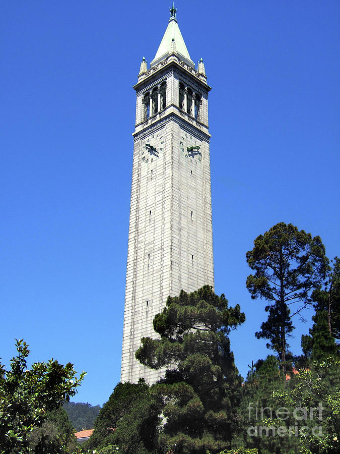 UC Berkeley Tower Photograph by Wernher Krutein