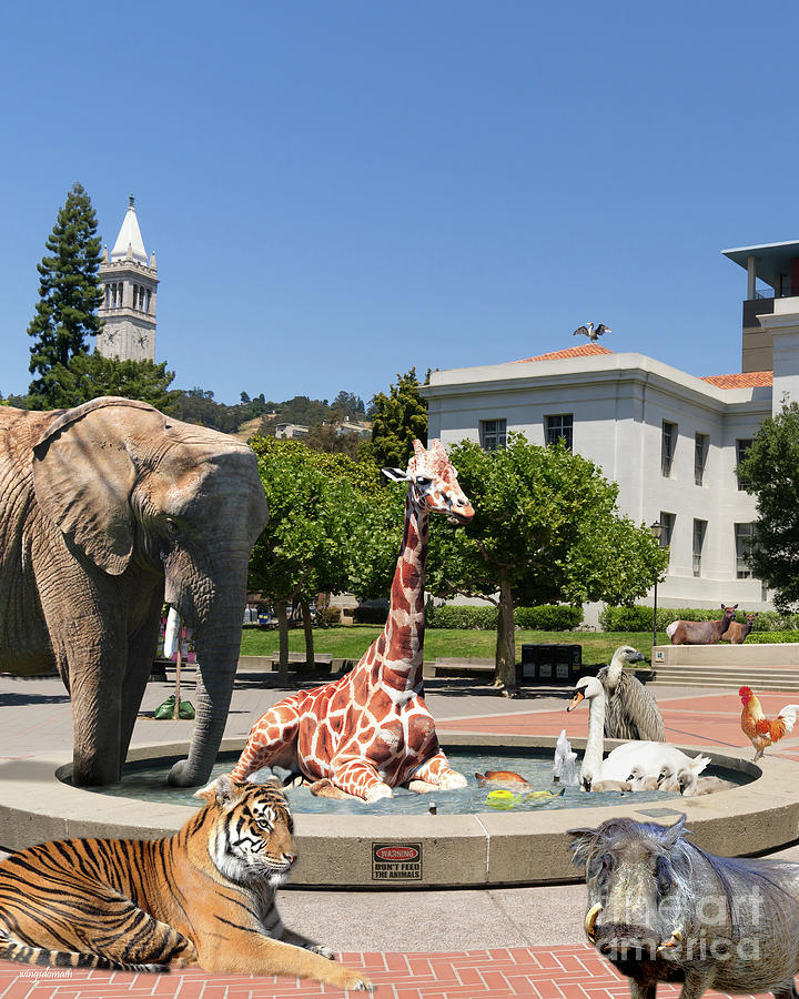 UC Berkeley Welcomes You To THE ZOO Please Do Not Feed The Animals DSC4086 Vertical Photograph by Wingsdomain Art and Photography