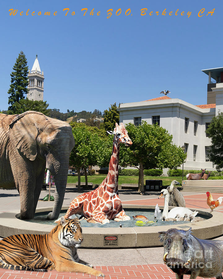UC Berkeley Welcomes You To THE ZOO Please Do Not Feed The Animals DSC4086 Vertical with text Photograph by Wingsdomain Art and Photography