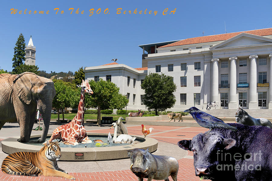 UC Berkeley Welcomes You To THE ZOO Please Do Not Feed The Animals with text Photograph by Wingsdomain Art and Photography