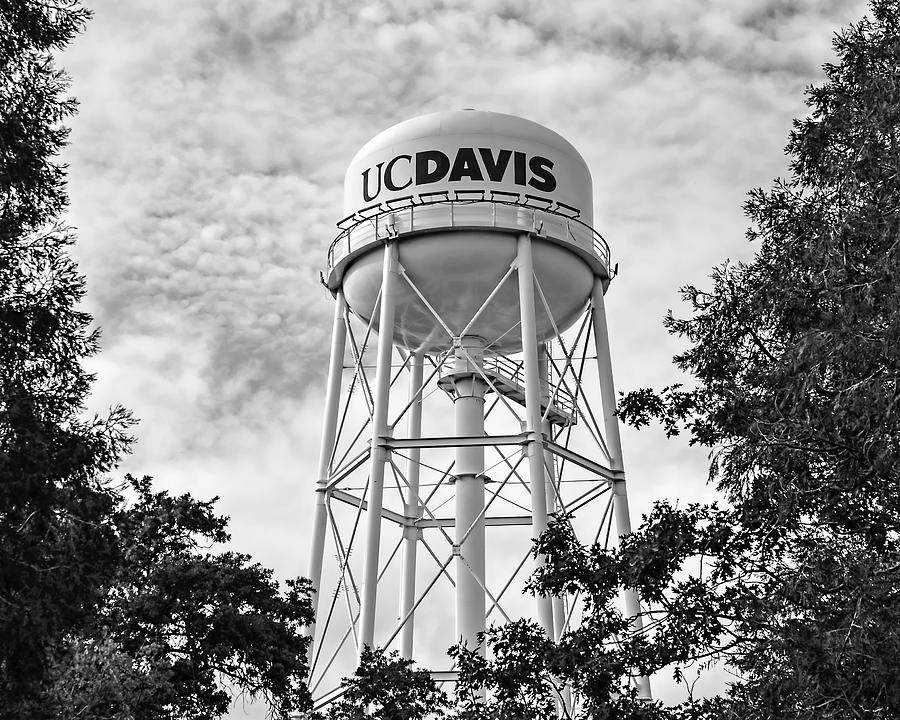 UC Davis water tower Photograph by Alessandra RC